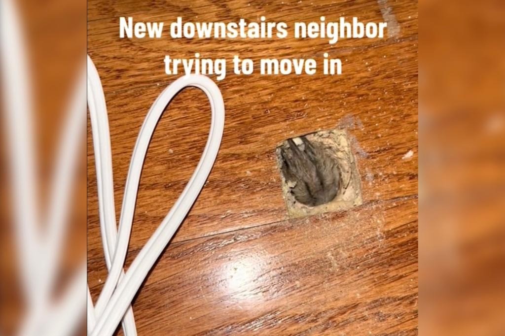 Bàn tay 'lông lá' của sinh vật bí ẩn.