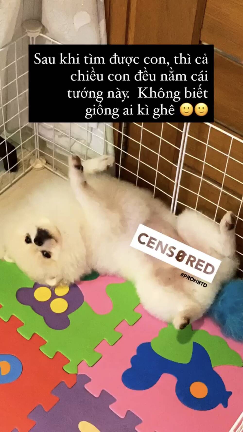 Hình ảnh được Primmy Trương đăng tải trên mạng xã hội cách đây 6 tháng. Ảnh FBNV Hình ảnh được Primmy Trương đăng tải trên mạng xã hội cách đây 6 tháng. Ảnh FBNV