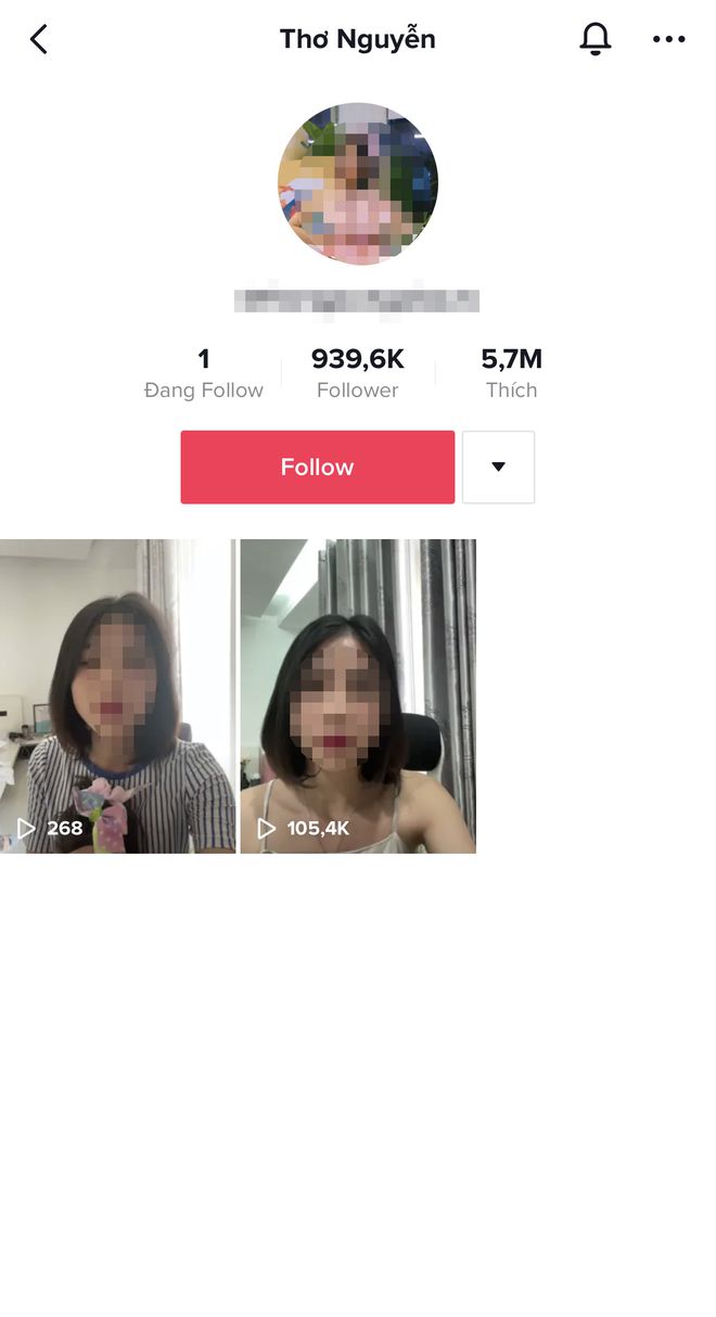 Kênh TikTok Thơ Nguyễn chỉ còn lại 2 clip. Ảnh chụp màn hình