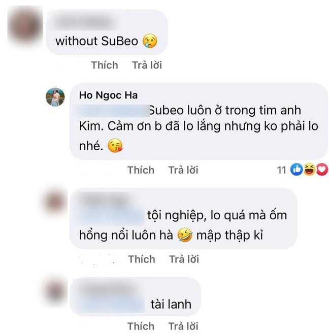 Hồ Ngọc Hà lên tiếng đáp trả thâm thúy. Ảnh chụp màn hình