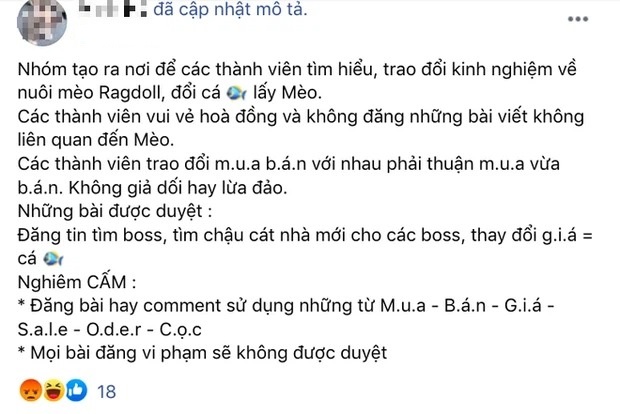 Ảnh chụp màn hình. Ảnh chụp màn hình.