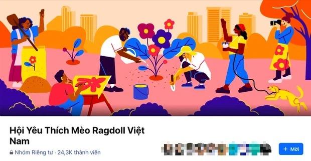 Group anti-fan Hải Tú nay đã thành... hội yêu mèo. Ảnh internet Group anti-fan Hải Tú nay đã thành... hội yêu mèo. Ảnh internet