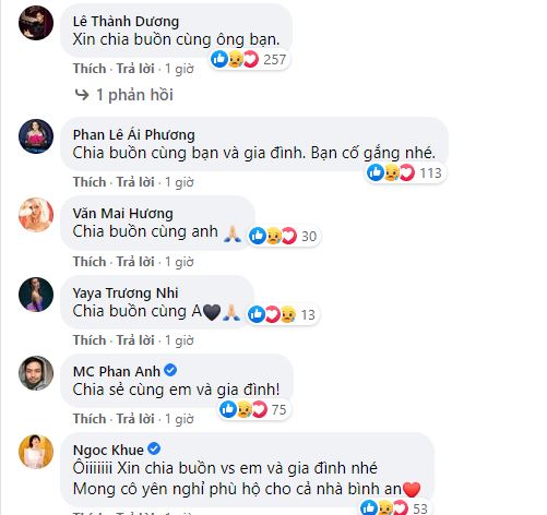 Nhiều đồng nghiệp gửi lời chia buồn đến Chi Dân. Ảnh chụp màn hình Nhiều đồng nghiệp gửi lời chia buồn đến Chi Dân. Ảnh chụp màn hình