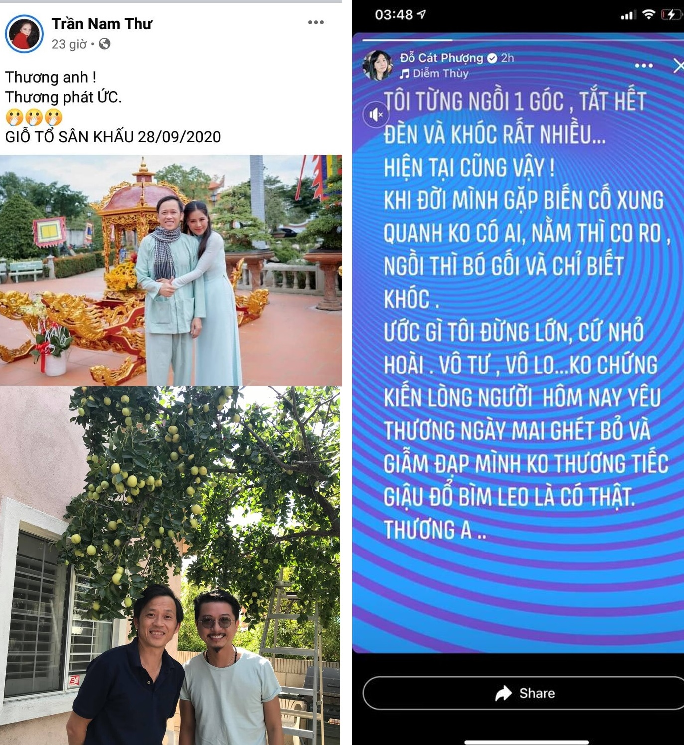 Một số nghệ sĩ lên tiếng bênh vực Hoài Linh.Ảnh internet