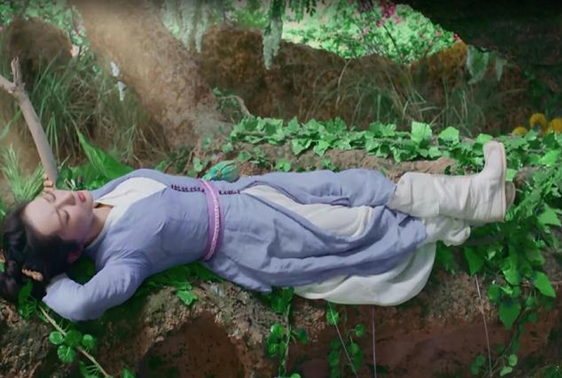 Tạo dáng nằm của Dương Tử không nhẹ nhàng, thanh thoát như tiên tử nhưng lại vang vẻ phóng khoáng, tự do khiến nhiều người thích thú.