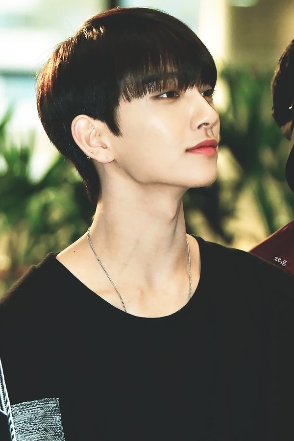 Joshua (Seventeen) sở hữu chiếc cổ dài cùng gương mặt góc cạnh tạo nên độ hoàn hảo cho nam ca sĩ này.