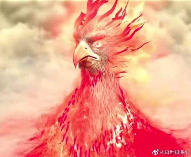 12 sao Hoa ngữ hóa 'chim': Đặng Luân hóa phượng hoàng cao ngạo, Thành Nghị biến hình giống gà đông tảo - Ảnh 1 12 sao Hoa ngữ hóa 'chim': Đặng Luân hóa phượng hoàng cao ngạo, Thành Nghị biến hình giống gà đông tảo - Ảnh 1
