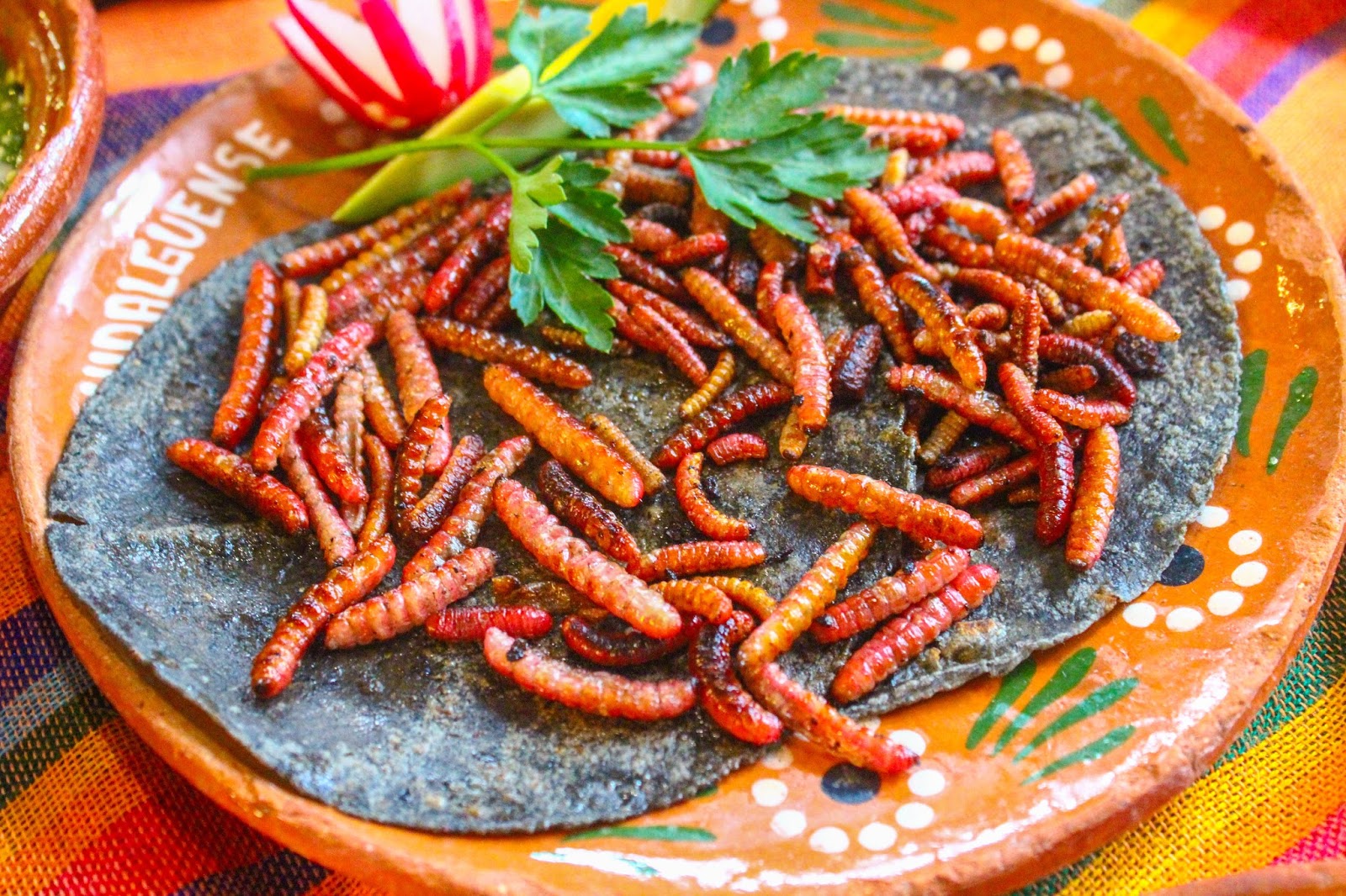 10 món ăn xuất sắc trong ẩm thực Mexico ngon 'nuốt lưỡi' 5