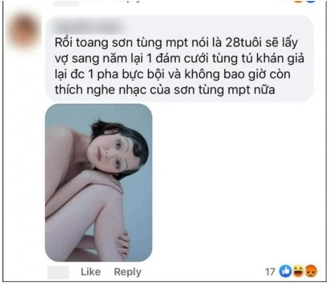 Dân tình tấn công vào trang cá nhân của mẹ Sơn Tùng với những hình ảnh khó coi của Hải Tú. Ảnh: Facebook Dân tình tấn công vào trang cá nhân của mẹ Sơn Tùng với những hình ảnh khó coi của Hải Tú. Ảnh: Facebook