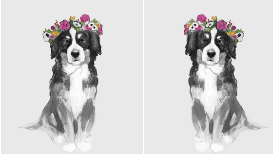 Những con giáp tuổi Tuất sẽ phát huy mọi thế mạnh của mình trong năm 2021. Ảnh: Internet