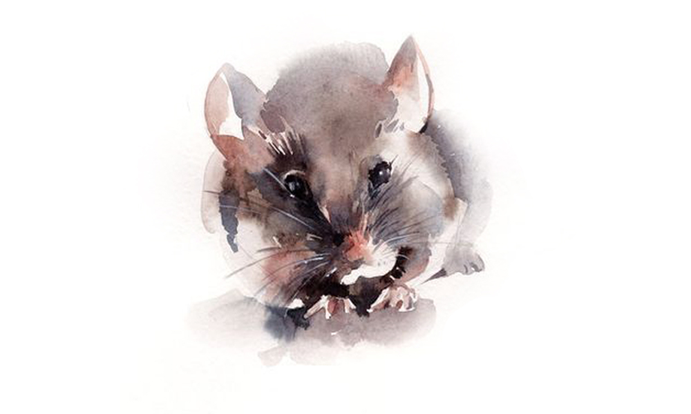 Tuổi Tý có thể chọn tuổi Thân xông nhà trong dịp Tết Nguyên đán 2021. Ảnh: Internet