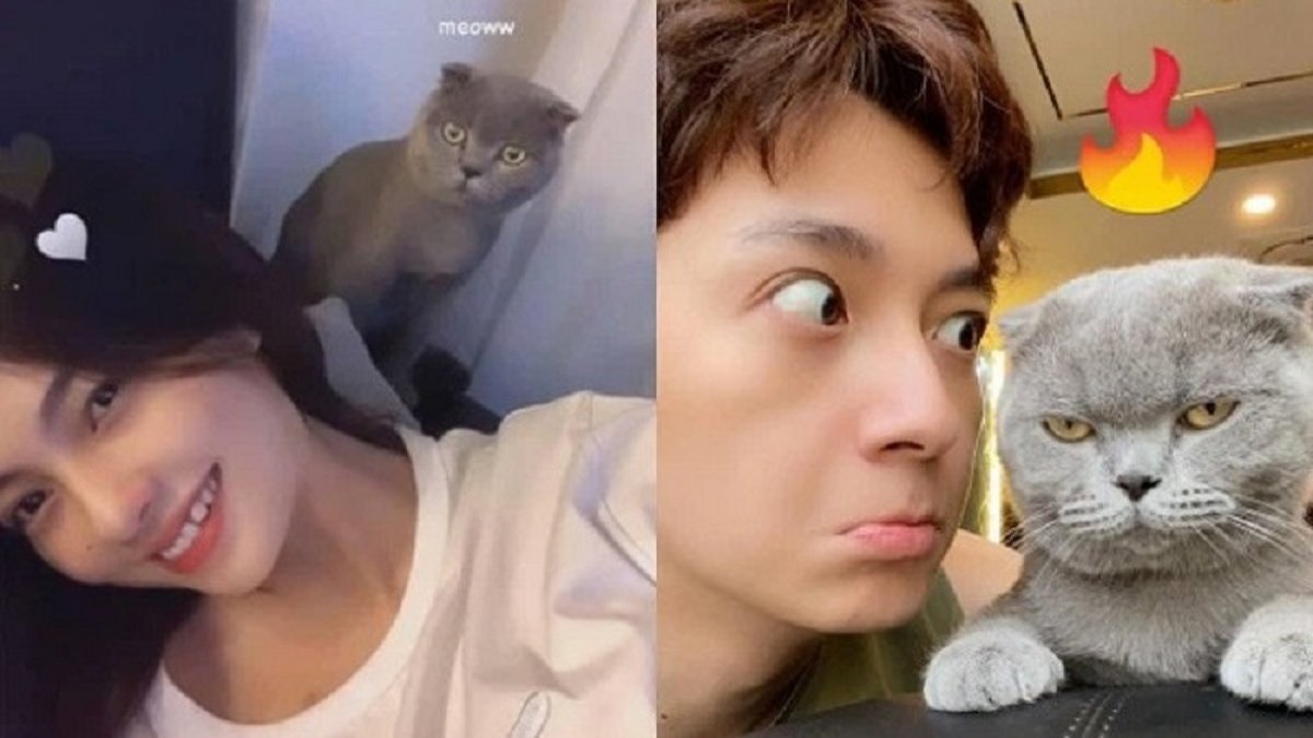 Những bằng chứng khó chối cãi của cả 2. Ảnh: Internet