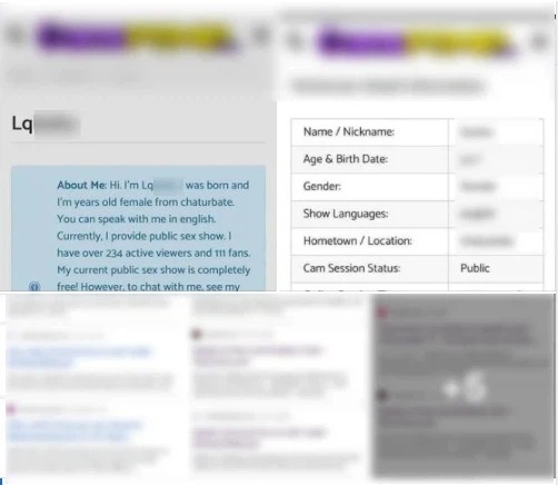 Phần giới thiệu bản thân của tài khoản dẫn tới các trang web đen của nữ diễn viên. Ảnh chụp màn hình