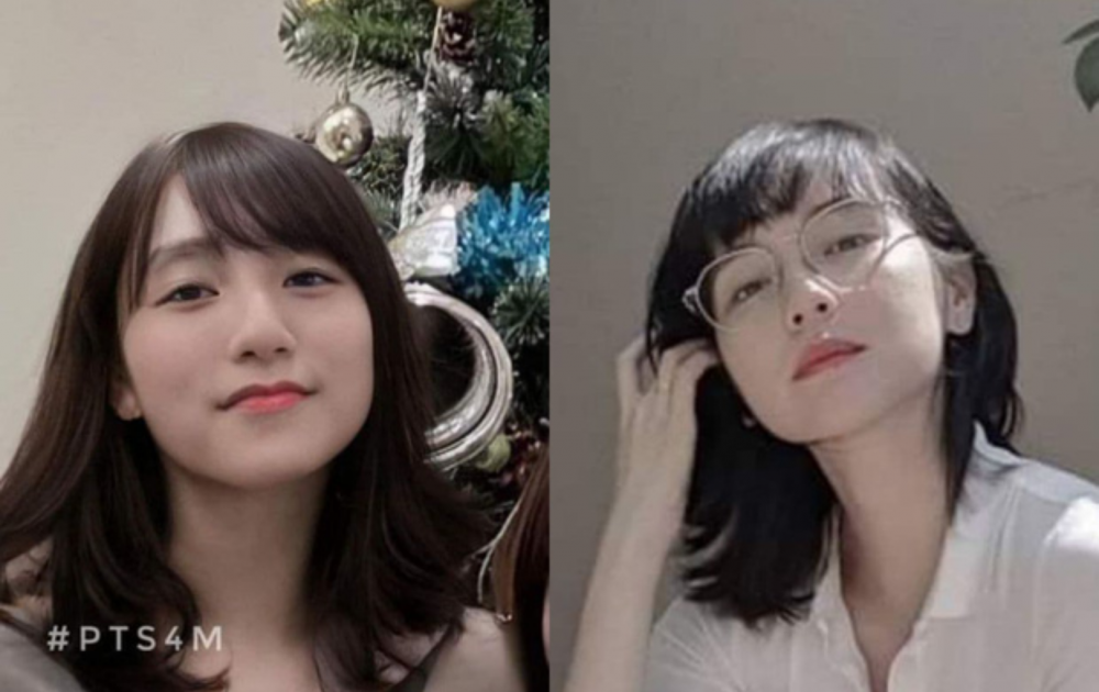 Sơn Tùng và Hải Tú được cho có nhiều nét phu thê. Ảnh: Internet