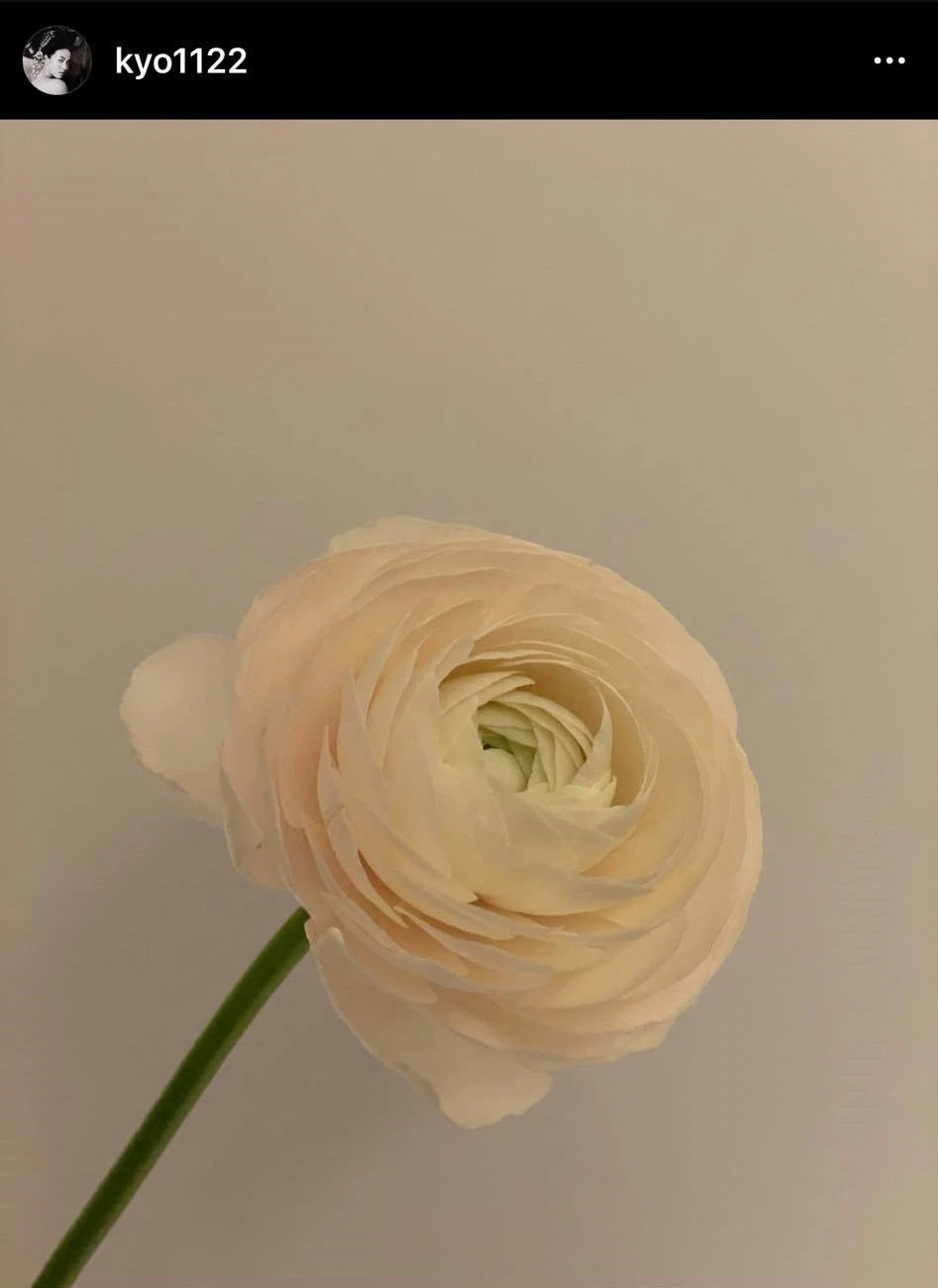 Trong khi Song Hye Kyo đăng tải hình bông hoa và không kèm dòng trạng thái gì trên trang cá nhân. Ảnh: Instagram