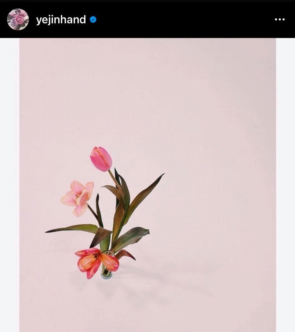 Thì Son Ye Jin cũng đăng tải hình ảnh bông hoa tương tự. Ảnh: Instagram Thì Son Ye Jin cũng đăng tải hình ảnh bông hoa tương tự. Ảnh: Instagram