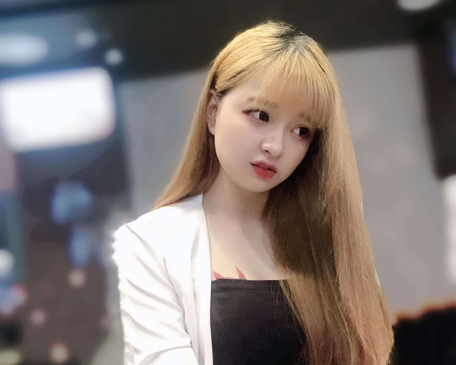 Meo 2K4 sở hữu vẻ ngoài xinh đẹp. Ảnh: Internet