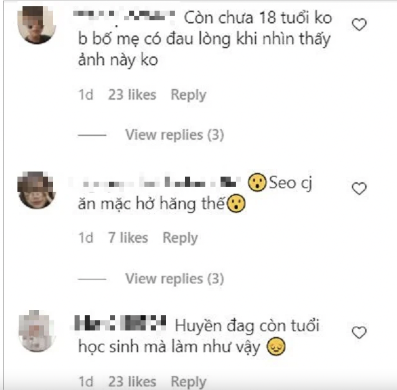 Loạt hình ảnh này nhận về vô vàn chỉ trích. Ảnh: Facebook