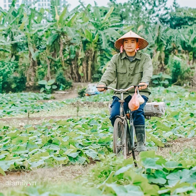 Anh nông dân' bị đồn thổi là một đại gia ngầm. Ảnh: Afamily Anh nông dân' bị đồn thổi là một đại gia ngầm. Ảnh: Afamily