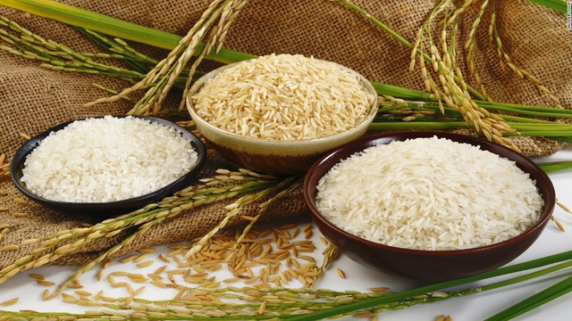 Giá lúa gạo hôm nay 9/9: Đồng loạt tăng, thị trường sôi động trở lại 1