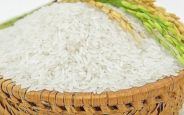 Giá lúa gạo hôm nay 22/10: Giữ đà ổn định 1