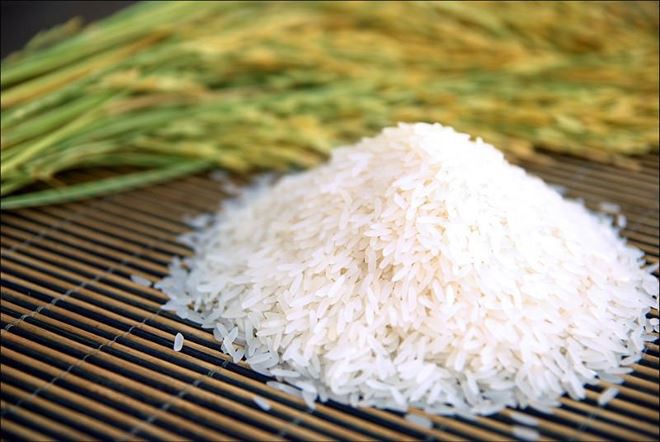 Giá lúa gạo hôm nay 2/11: Giá gạo và giá lúa đồng loạt tăng mạnh trở lại 1