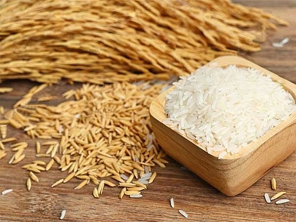Giá lúa gạo hôm nay 5/11: Đồng loạt tăng mạnh  1