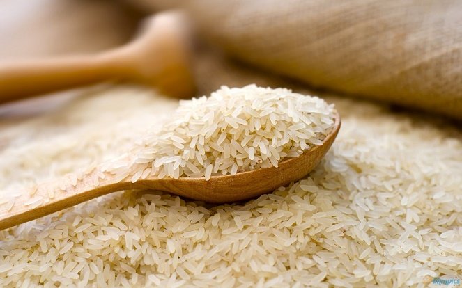 Giá lúa gạo hôm nay 18/11, giá lúa có xu hướng biến động trái chiều trong khi giá gạo đi ngang. Ảnh: Internet