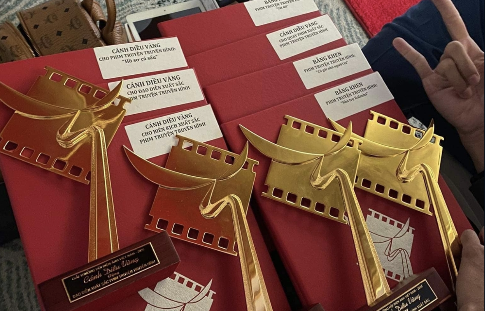 Tại Cánh Diều Vàng năm nay, VFC đã 'bội thu' với nhiều giải thưởng. Ảnh: Internet