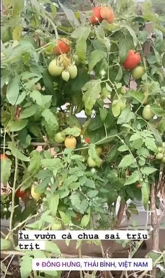 Khoe cơ ngơi gia đình hôn phu tương lai, HH Ngọc Hân khiến dân tình ngỡ ngàng - Ảnh 4