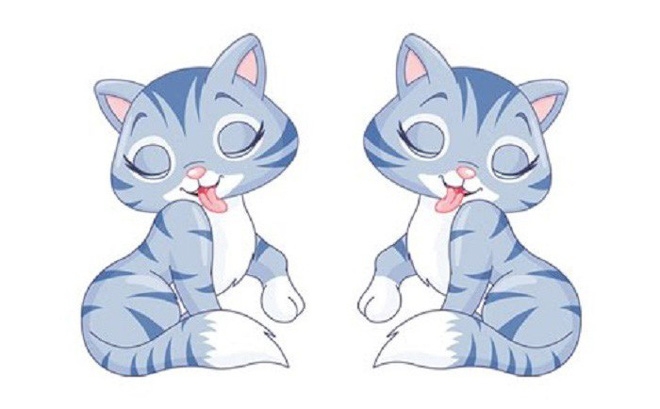 Tuổi Mão là những người cẩn thận và tận tâm. Ảnh: Internet Tuổi Mão là những người cẩn thận và tận tâm. Ảnh: Internet