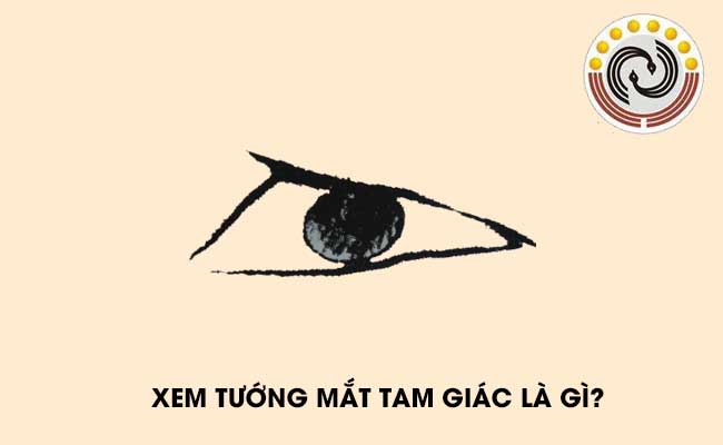 Mắt tam giác là nét tướng không tốt. Ảnh: Internet Mắt tam giác là nét tướng không tốt. Ảnh: Internet