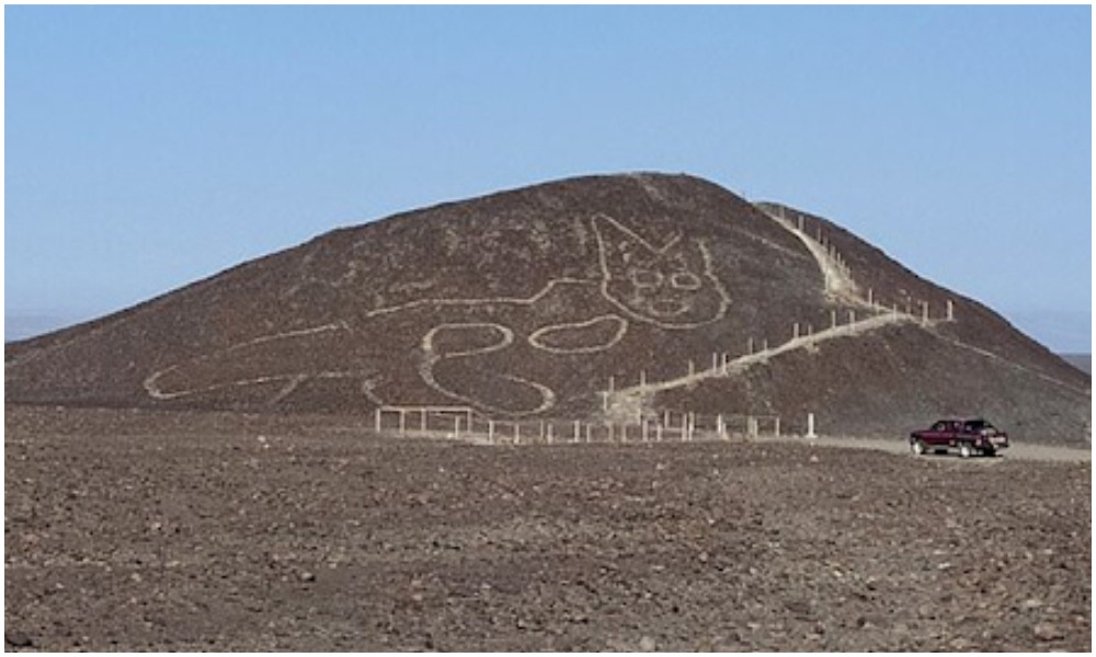 Các nhà khoa học hiện vẫn chưa lý giải được sự xuất hiện của hình mèo này. Ảnh: Internet