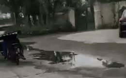 'Người vận chuyển' phiên bản Việt, chở tôn như diễn xiếc trên đường