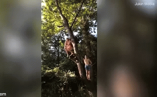 Tự tin đu dây nhảy sông, gái xinh nhận ngay 'trái đắng'