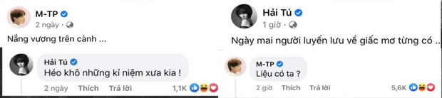 Sơn Tùng - Hải Tú thường xuyên tương tác trên MXH với những câu hỏi đáp đầy sặc mùi 'thính'. Sơn Tùng - Hải Tú thường xuyên tương tác trên MXH với những câu hỏi đáp đầy sặc mùi 'thính'.