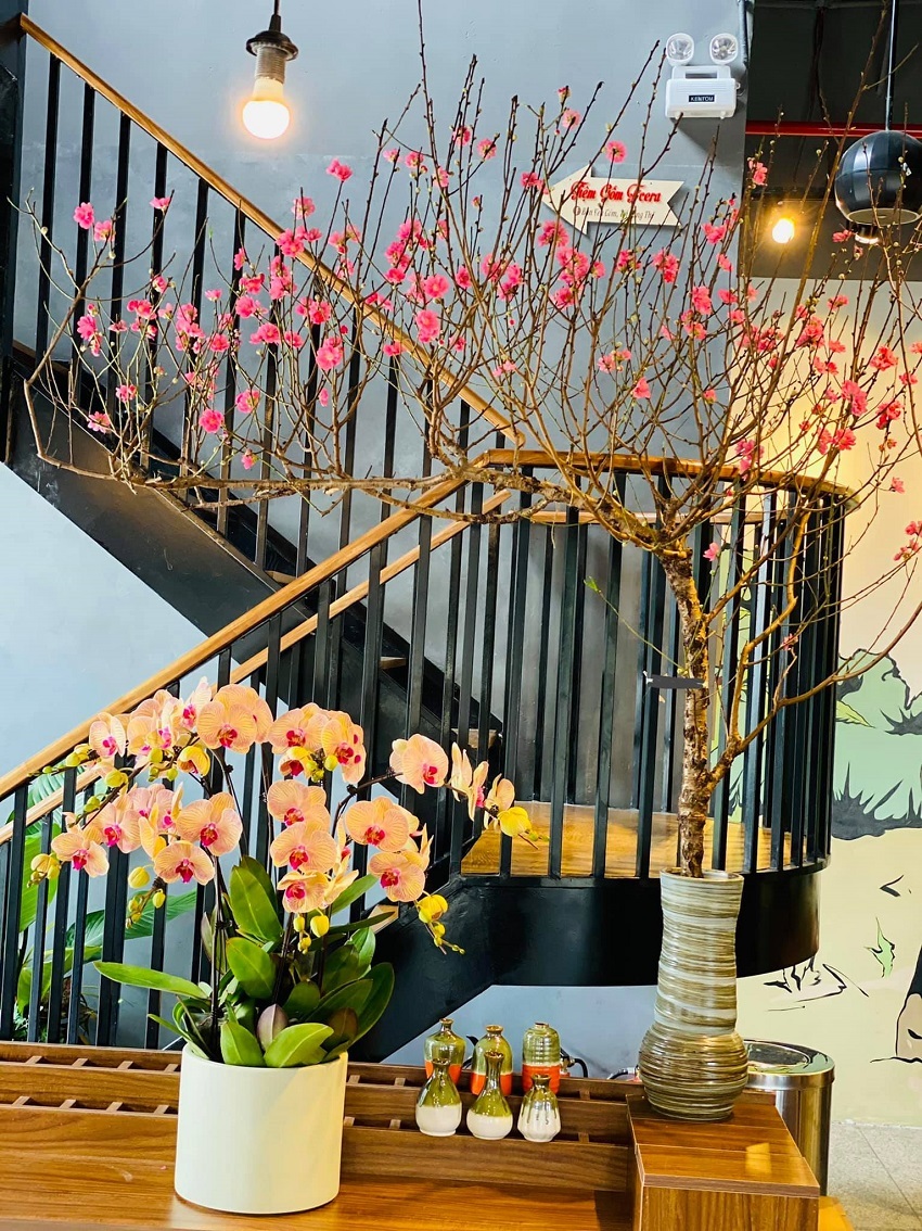 Nhiều gia đình ưu tiên lựa chọn đào dáng huyền với ý nghĩa tạo vẻ đẹp mềm mại như nước chảy, mong muốn mang lại nhiều điều tốt đẹp cho năm mới. Ảnh: FB