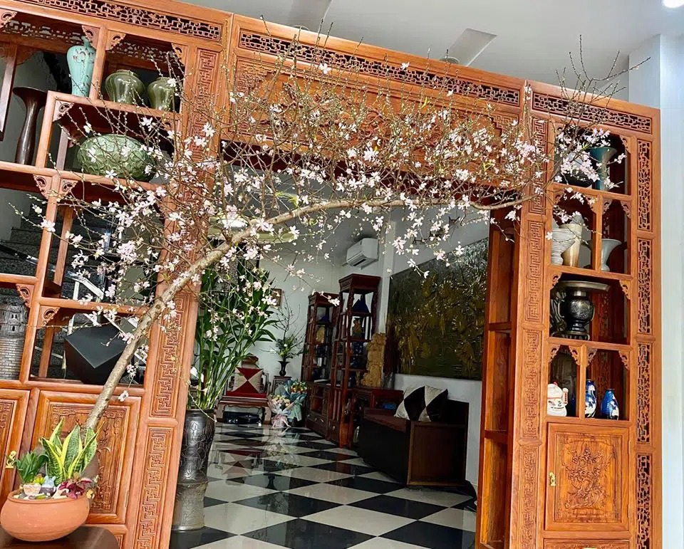 Cành đào dáng huyền có gì đặc biệt mà khiến nhà nhà săn lùng chơi Tết?