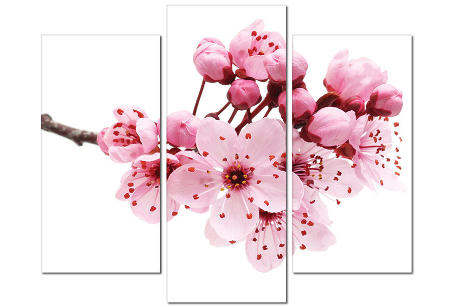 Chọn 5 kiểu tranh này treo trong nhà dịp Tết giúp gia chủ may nắm đủ đầy quanh năm