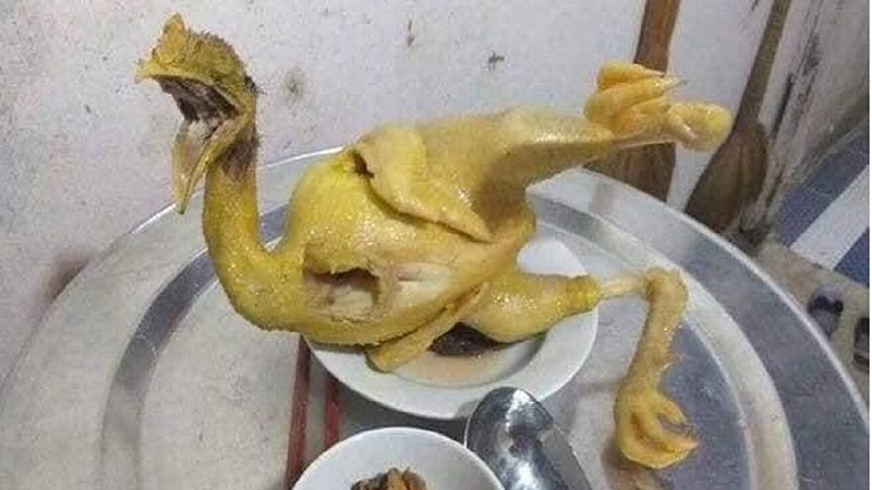 Những chú gà này đáng lẽ sinh ra phải được làm diễn viên hài mới đúng.