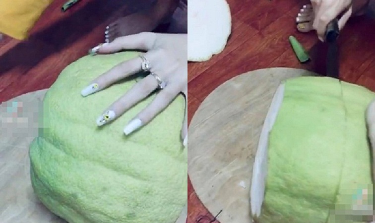 Có lẽ loại bưởi này chỉ để ăn cùi vì chẳng thấy múi đâu.