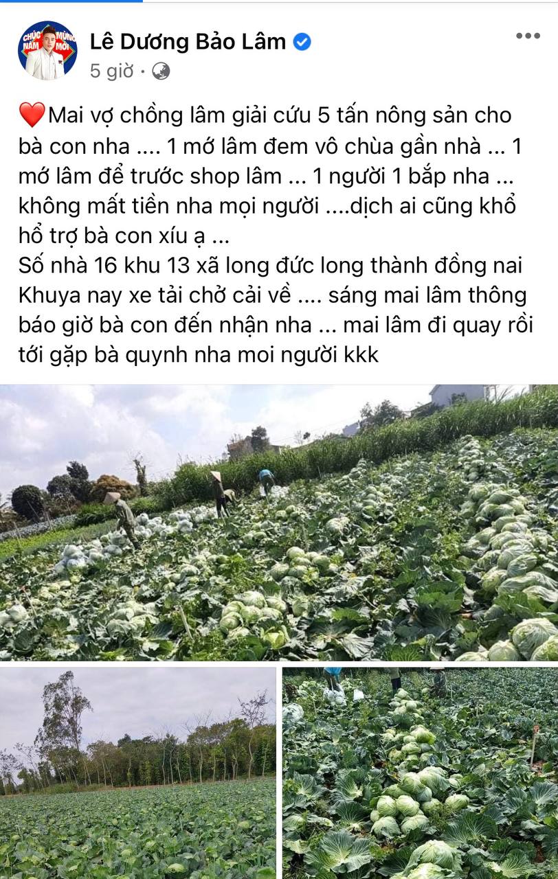 Lê Dương Bảo Lâm mua ủng hộ bà con vùng dịch 5 tấn nông sản.