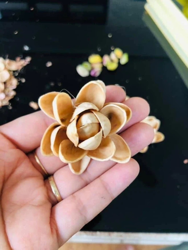 Hội chị em còn không quên hỏi xin cách bảo quản vỏ hạt để khi kết hoa có thể chưng được lâu, không bị nấm mốc và đề nghị chủ nhân quay clip hướng dẫn làm cành hoa khô nghệ thuật từ vỏ hạt dẻ cười. Hội chị em còn không quên hỏi xin cách bảo quản vỏ hạt để khi kết hoa có thể chưng được lâu, không bị nấm mốc và đề nghị chủ nhân quay clip hướng dẫn làm cành hoa khô nghệ thuật từ vỏ hạt dẻ cười.