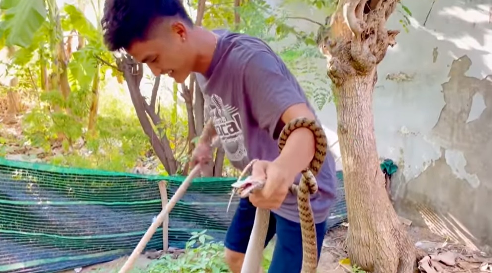 Mạc Văn Khoa tóm gọn vị khách không mời. Ảnh cắt clip