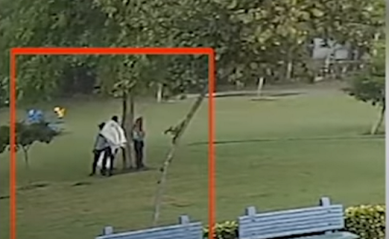 Một số nguồn tin cho biết, 4 người đàn ông này đều là nhân viên cắt tỉa cây. Ảnh cắt clip.