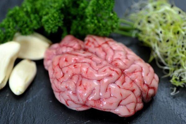 Những người đang mắc các bệnh về nhiệt như sốt không nên ăn óc heo vì dễ phát phong, sinh nhiệt. Ảnh minh hoạ Những người đang mắc các bệnh về nhiệt như sốt không nên ăn óc heo vì dễ phát phong, sinh nhiệt. Ảnh minh hoạ
