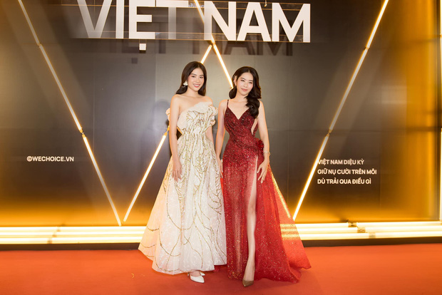 Nhan sắc của chị em mỹ nhân họ Nguyễn được đánh giá 1 chín 1 mười. Ảnh: FB