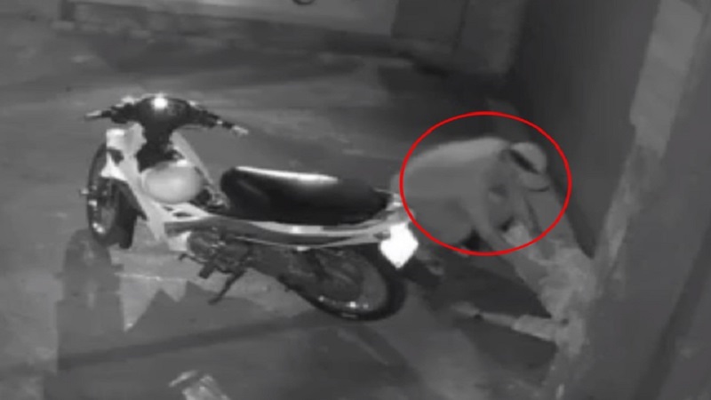 Trích xuất camera an ninh, công an phát hiện đối tượng trộm cắp là nam, cao khoảng 1m7. Ảnh cắt clip Trích xuất camera an ninh, công an phát hiện đối tượng trộm cắp là nam, cao khoảng 1m7. Ảnh cắt clip