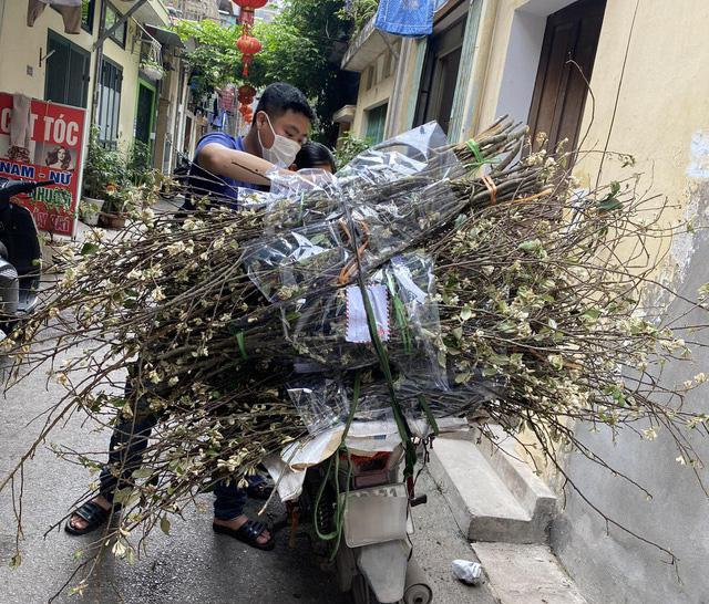 Hoa táo mèo nở thành từng chùm màu trắng, thoang thoảng mùi hương ngọt ngào dễ chịu tựa như hương quế, lại khá bền nên rất được ưa chuộng. Ảnh: FB Hoa táo mèo nở thành từng chùm màu trắng, thoang thoảng mùi hương ngọt ngào dễ chịu tựa như hương quế, lại khá bền nên rất được ưa chuộng. Ảnh: FB