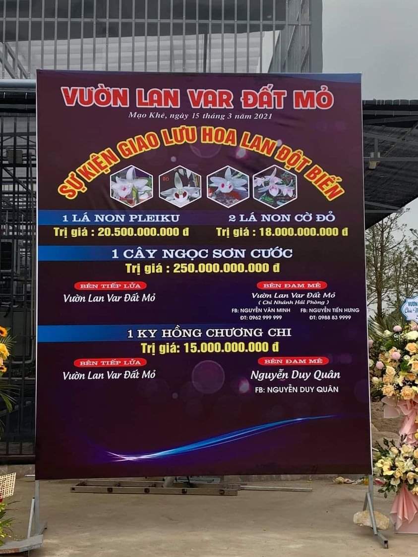 Thương vụ chuyển nhượng Ngọc Sơn Cước 250 tỷ ở Quảng Ninh. Ảnh FB Thương vụ chuyển nhượng Ngọc Sơn Cước 250 tỷ ở Quảng Ninh. Ảnh FB